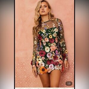NWT Sage + Paije  "My Luck " dress